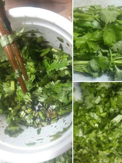 Una foto de Cilantro con salsa de Soya