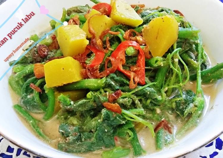 Sayur santan pucuk labu