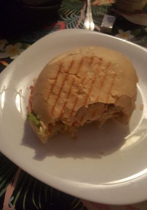 Foto principal de Campero de pollo casero