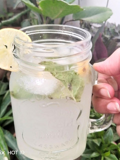 A picture of Lemonade.