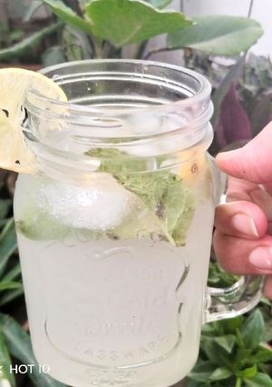 A picture of Lemonade.