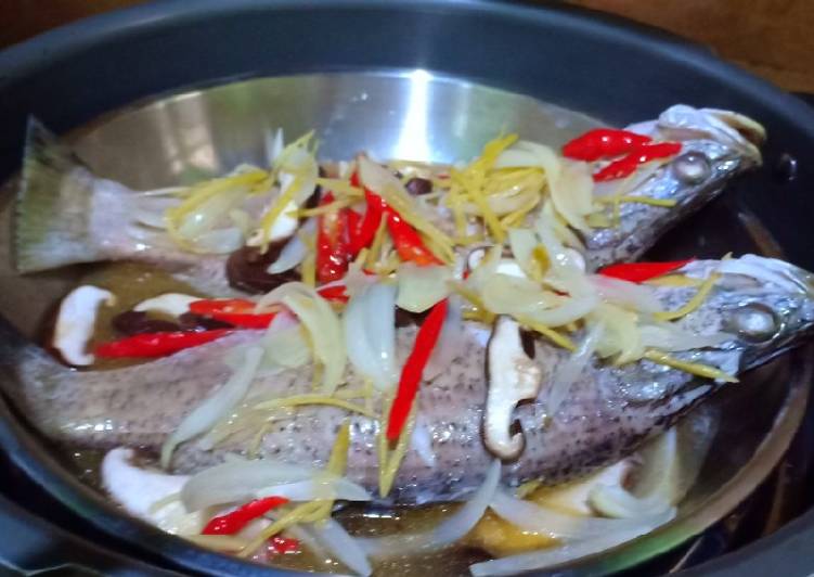 Resep Ikan Kakap Steam, Sempurna