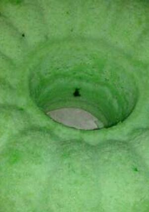 Foto resep Bolu kukus
