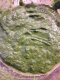Purée d'orties