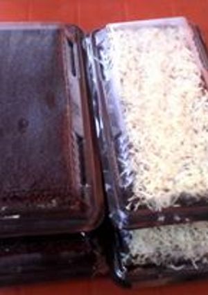 Foto resep Brownies aneka toping