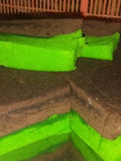 Foto resep Brownies Kukus Coklat Pandan Economis