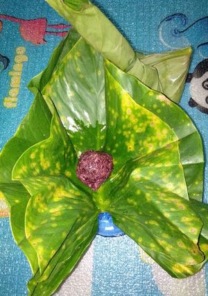 Foto resep Tape pulut hitam
