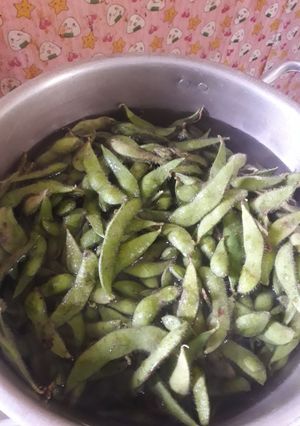 Foto resep 131. Edamame rebus