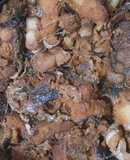 Cá quả kho thịt !!!