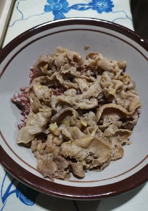 Foto resep Shortplate ala2 yoshinoya or hokben