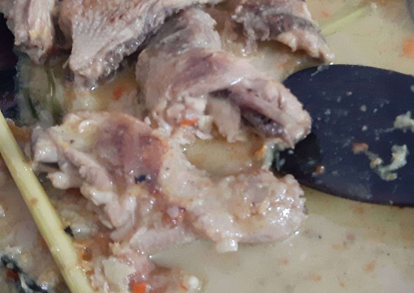 Ayam lodho khas tulungagung jawa timur