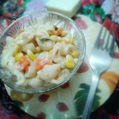 A picture of Domino style pasta in white sauce.