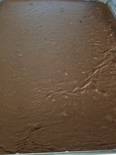 A picture of Texas Sheet Cake.