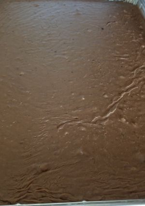 A picture of Texas Sheet Cake.