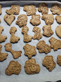Una foto de Galletitas salvajes