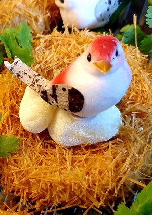 A picture of Potato nest 😍.