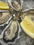 Ostras