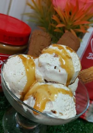 A picture of Lotus Biscoff Ice cream.
