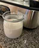 Yogurt en yogurtera Winco