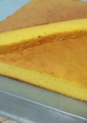 A picture of Plain vanilla cake.