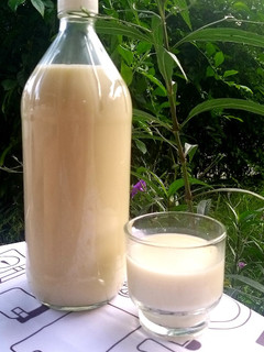 Foto resep Susu Kedelai (plain)