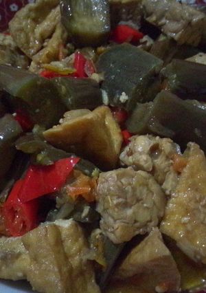 Foto resep Sayur Terong Ungu Pedas (Plus Tempe Tahu)