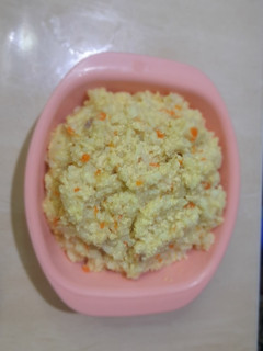 Foto resep Risotto Ayam (MPAsi 10 bulan)