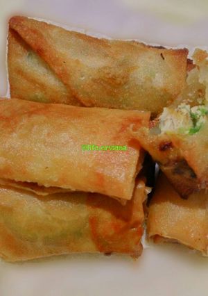 Foto resep Martabak telur isi ayam
