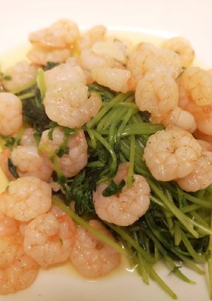 ［電子鍋］豌豆嬰炒蝦仁 的食譜成品照片