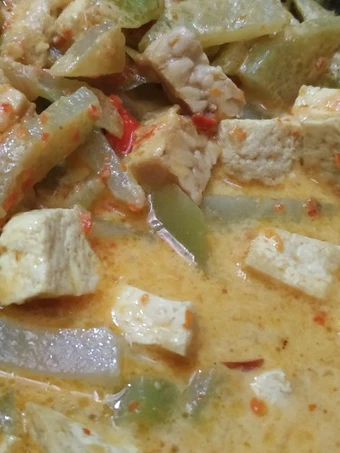 Easy Way Make Lodeh labu siam(tempe+tahu) pedas the Delicious Perfect