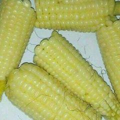 A picture of Boiled maize.
