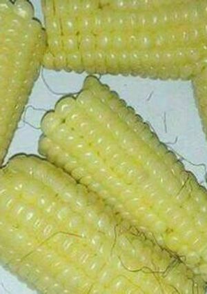 A picture of Boiled maize.