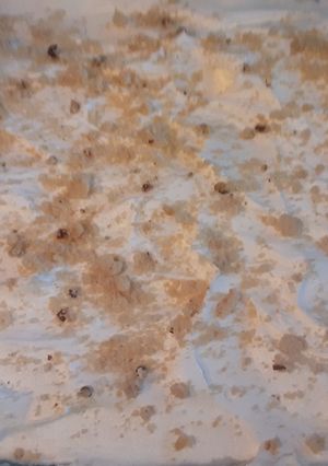A picture of Mothers' cherry torture dessert.