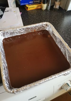 A picture of Coconut Fudge.