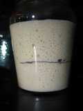 Sourdough starter