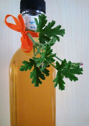 Φωτογραφία της συνταγής Λικέρ αρμπαρόριζα