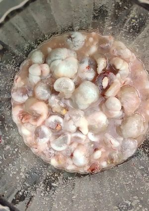 รูปของ Mangosteen vinegar
