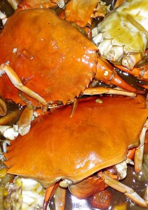 Foto resep Kepiting saus tiram pedas