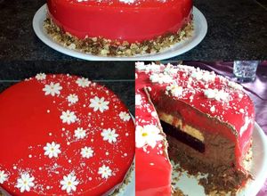 Une photo de Entremet chocolat insert framboise et vanille