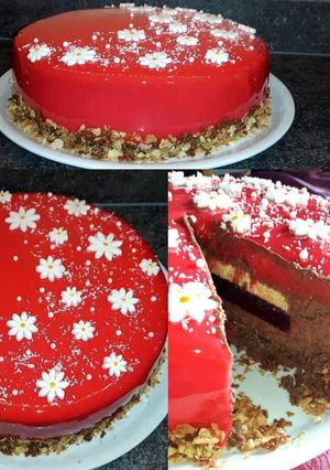 Une photo de Entremet chocolat insert framboise et vanille