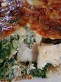 Spinat-Schellfisch-Gratin