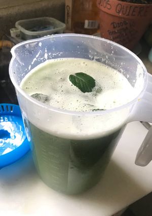 Una foto de Jugó de un pepino con limón y menta