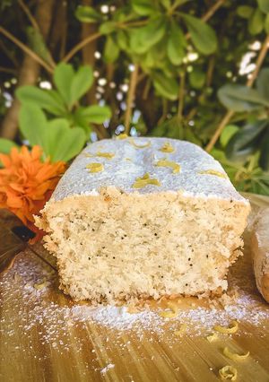 Una foto de Bᥙdίᥒ dᥱ ᥣιmóᥒ ᥴoᥒ sᥱmιᥣᥣᥲs dᥱ ᥲmᥲρoᥣᥲ VEGANO #vegano