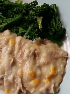 A picture of Vickys Basic White Sauce, GF DF EF SF NF.