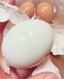 💚 Trứng Luộc Lòng Đào Dễ Bóc Vỏ 🥚