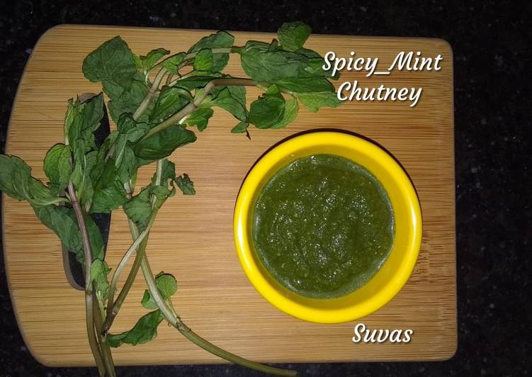Steps to Make Ultimate Spicy Mint Chutney