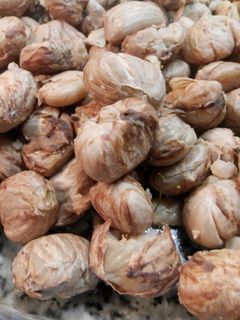 Una foto de Castañas cocidas