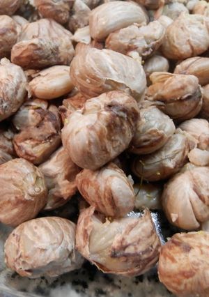 Foto principal de Castañas cocidas