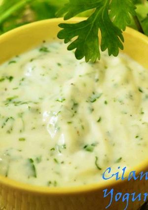 A picture of Cilantro Lime Yogurt Dip.