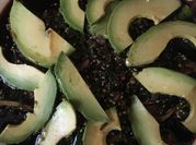 Una foto de carpaccio de aguacate